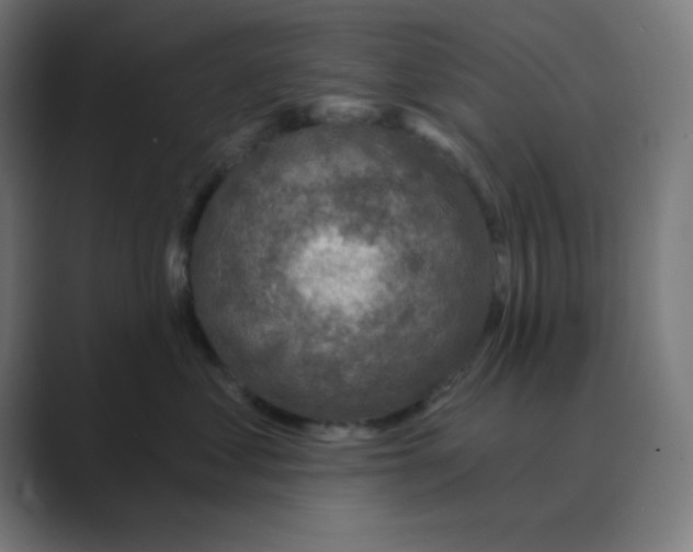 X0000088430621200706191235