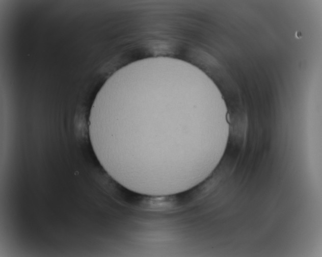 X0000088430622200706191235