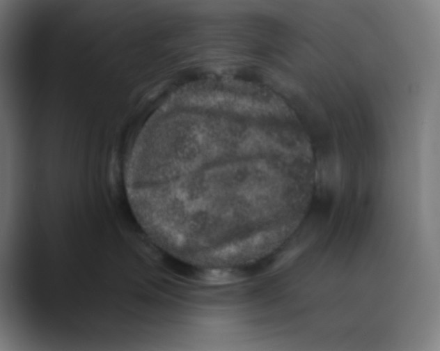 X0000088430623200706191235