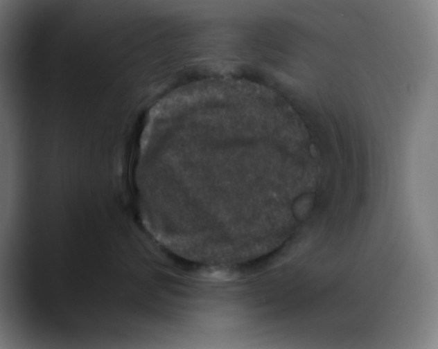 X0000088430624200706191235