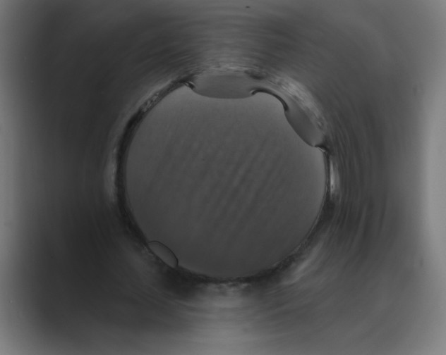 X0000088430627200706191235