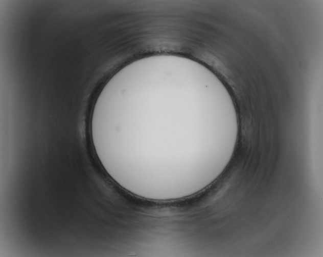 X0000088430629200706191235