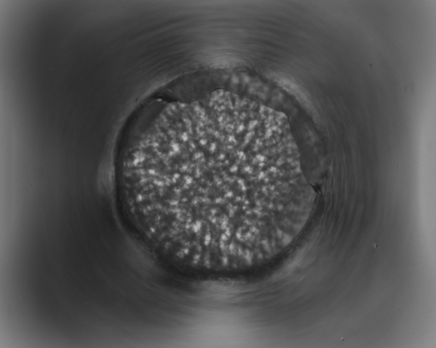 X0000088430630200706191235