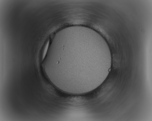 X0000088430631200706191235