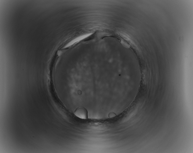 X0000088430634200706191235
