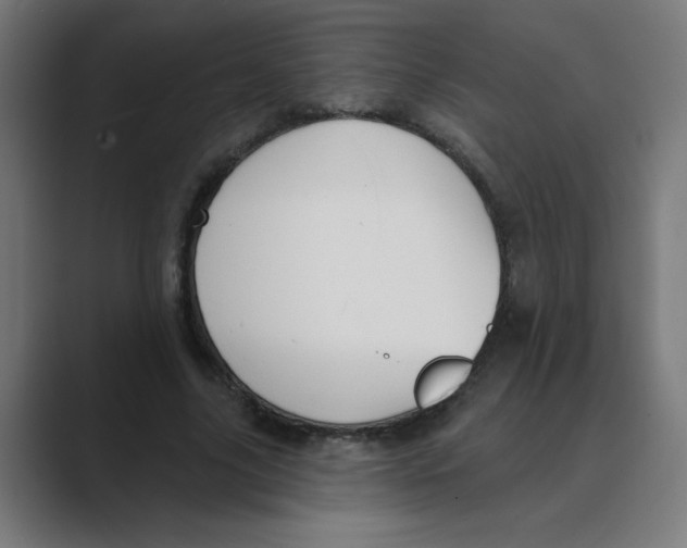 X0000088430635200706191235