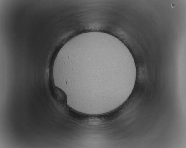 X0000088430636200706191235