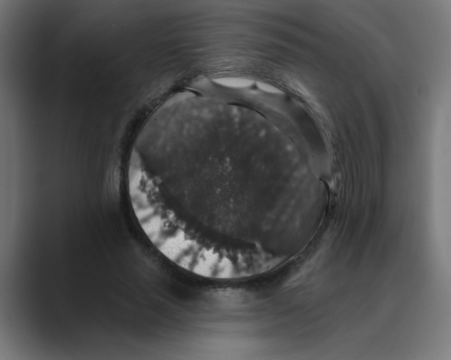 X0000088430637200706191235