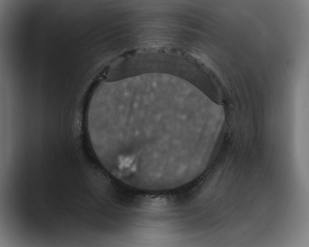 X0000088430640200706191235