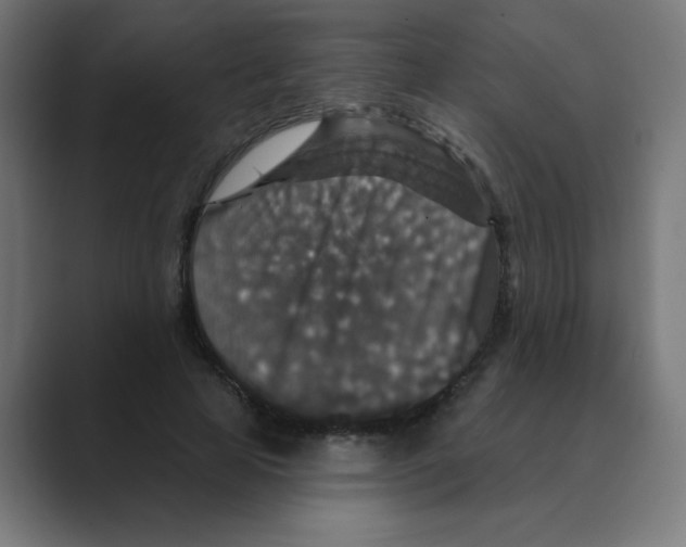 X0000088430641200706191235