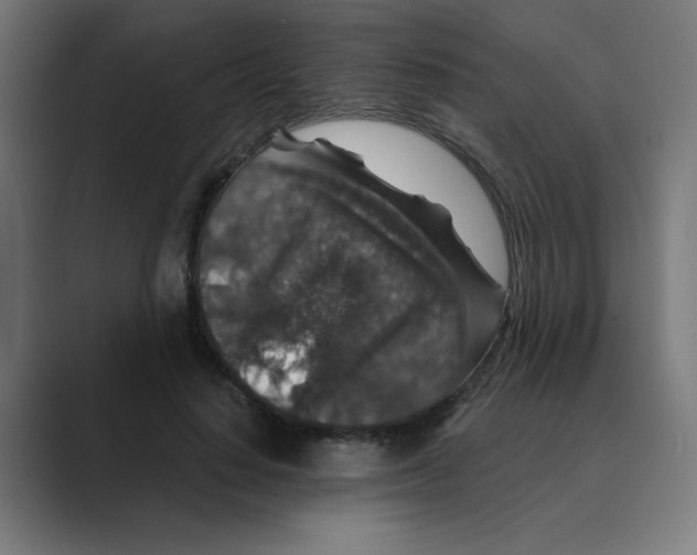 X0000088430644200706191235