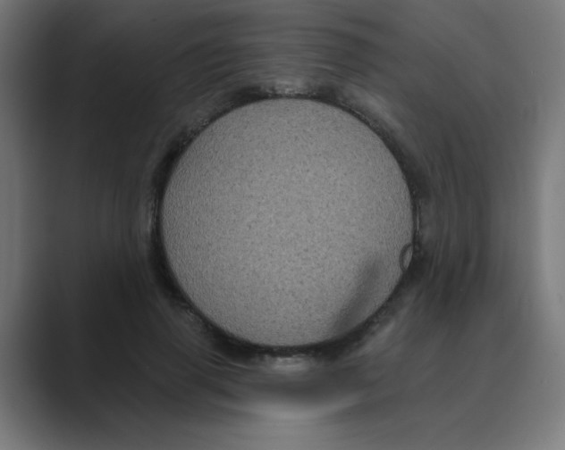 X0000088430645200706191235