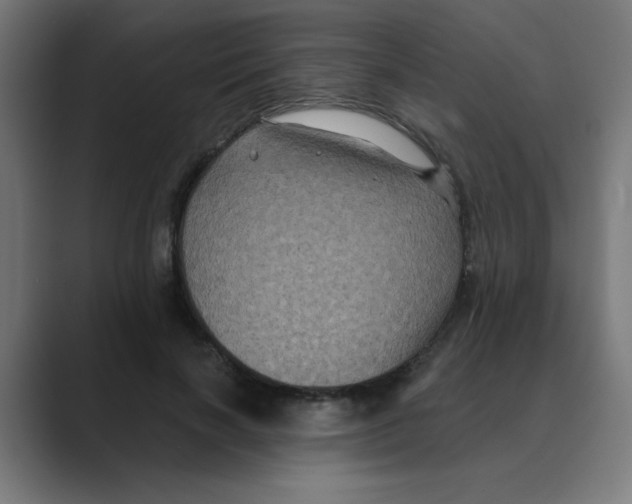 X0000088430646200706191235