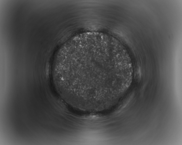 X0000088430647200706191235