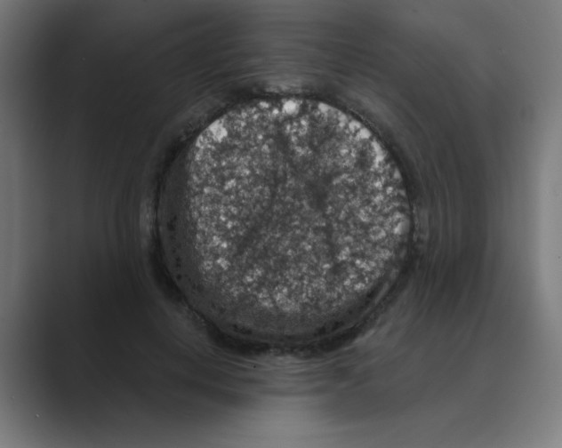 X0000088430648200706191235