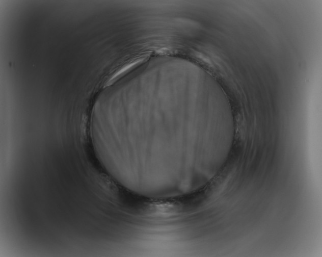 X0000088430650200706191235