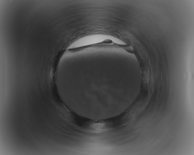 X0000088430653200706191235