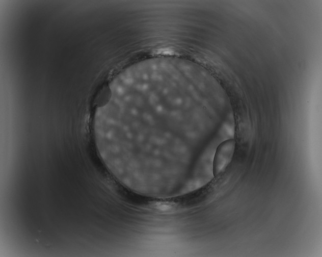 X0000088430654200706191235