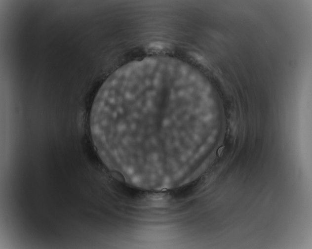 X0000088430659200706191235