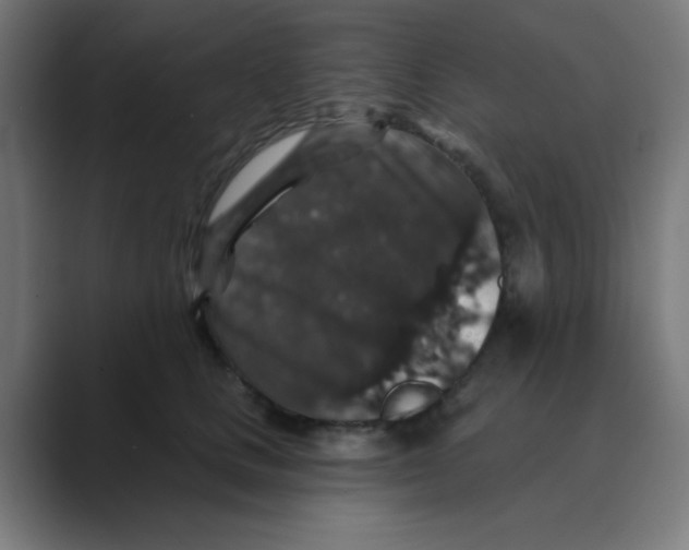 X0000088430661200706191235