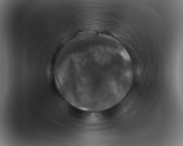 X0000088430663200706191235