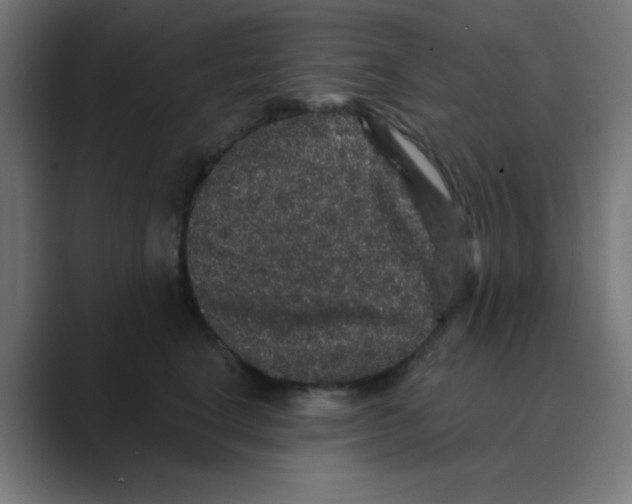 X0000088430664200706191235