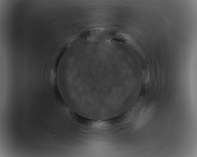 X0000088430669200706191235