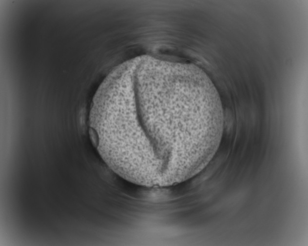 X0000088430670200706191235