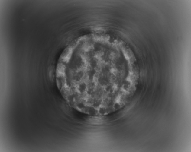 X0000088430671200706191235