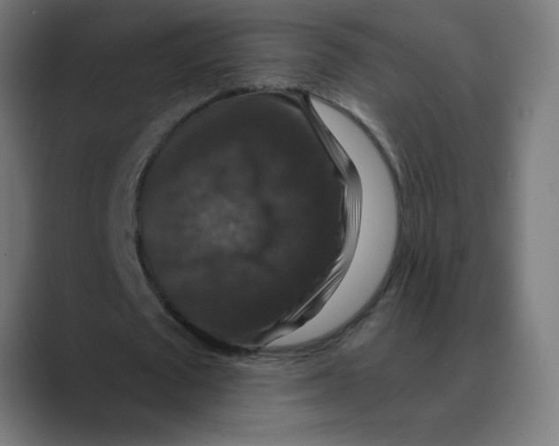 X0000088430673200706191235