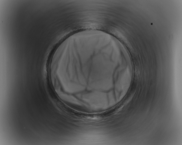 X0000088430674200706191235