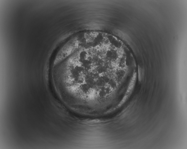 X0000088430675200706191234