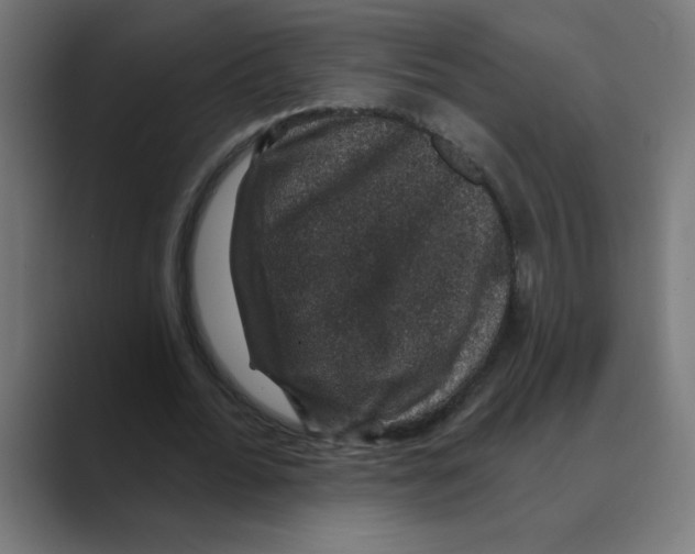 X0000088430676200706191234