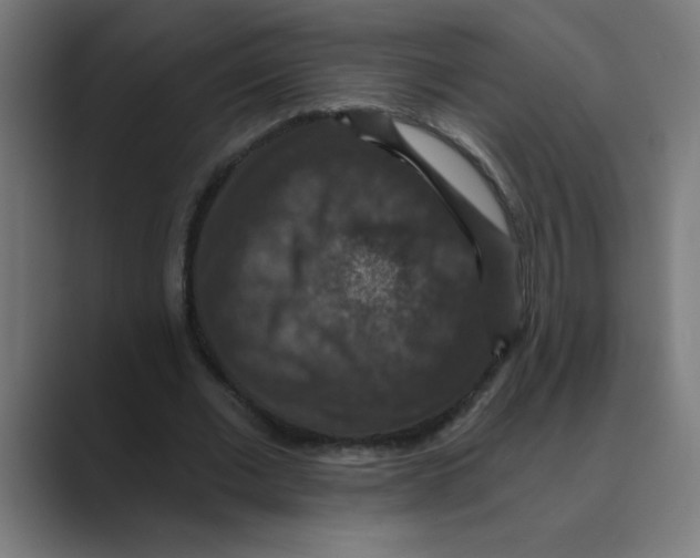 X0000088430677200706191234