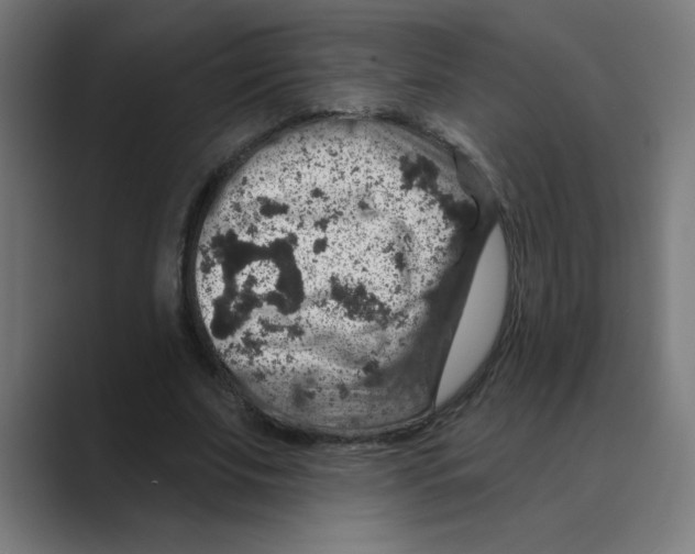 X0000088430679200706191234