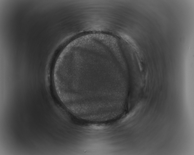 X0000088430680200706191234