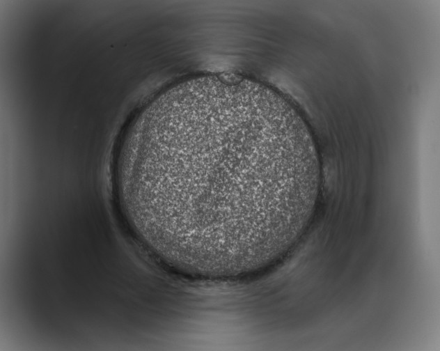 X0000088430682200706191234