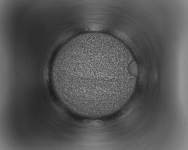 X0000088430683200706191234