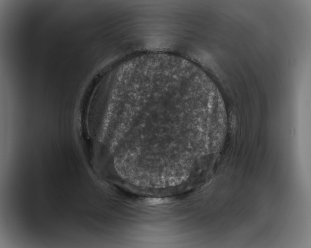 X0000088430684200706191234