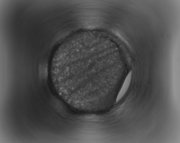 X0000088430685200706191234