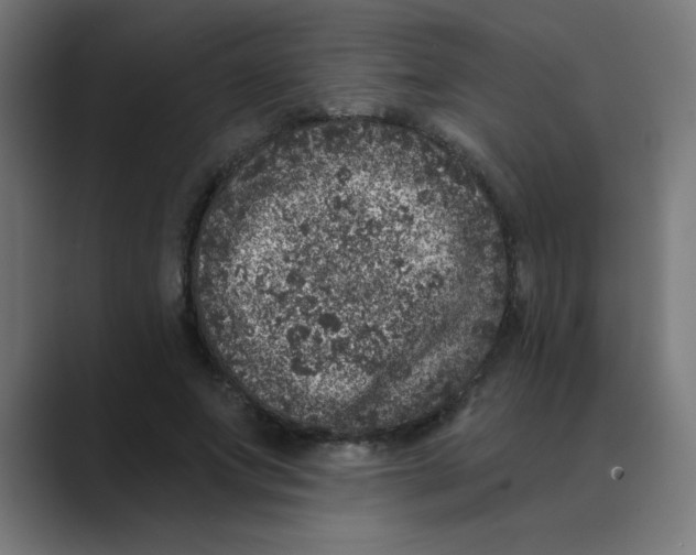 X0000088430687200706191234