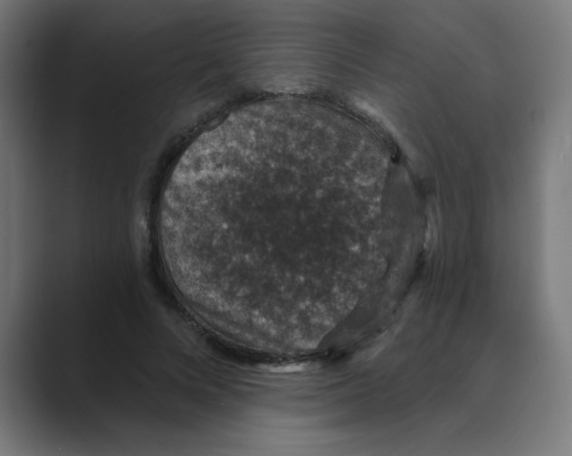 X0000088430688200706191234
