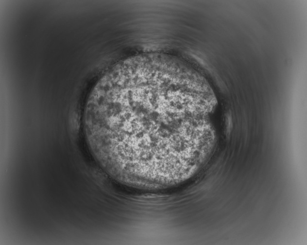 X0000088430691200706191234