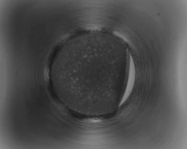 X0000088430692200706191234
