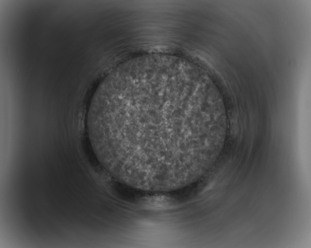 X0000088430695200706191234