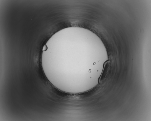 X0000088430698200706191234