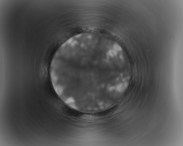X0000088430699200706191234