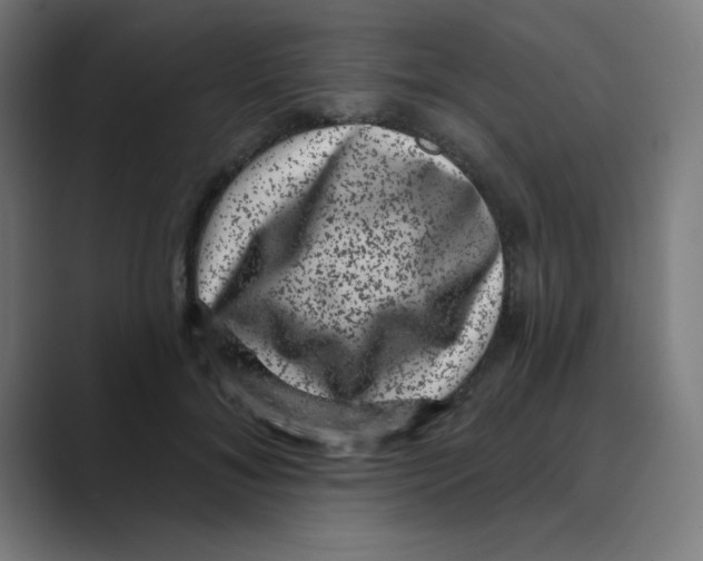 X0000088430700200706191234