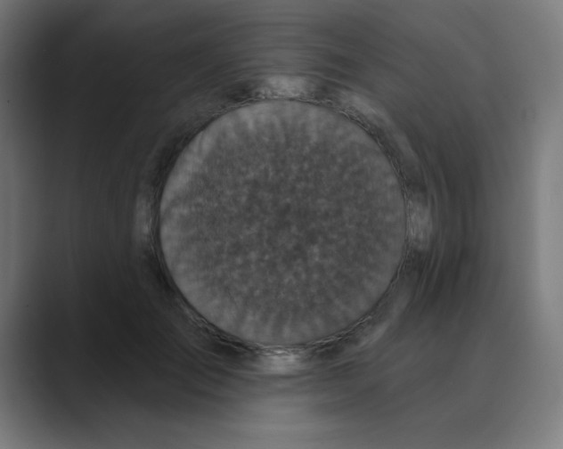 X0000088430701200706191234