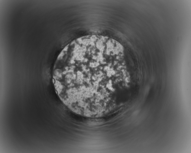 X0000088430707200706191234